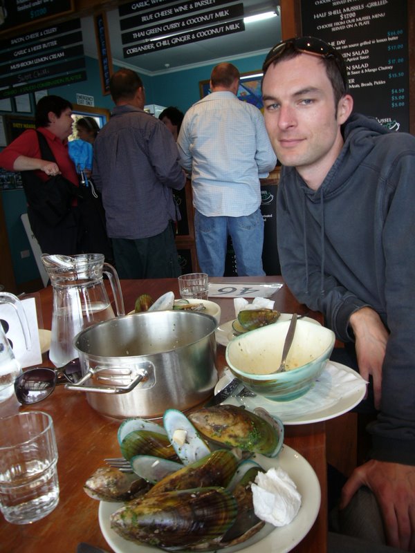 Havelock Mussels